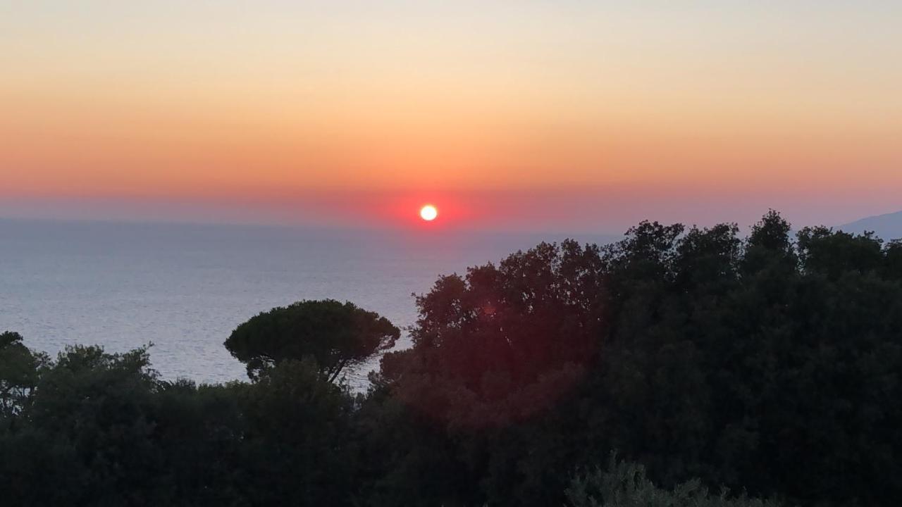 La Draghina B&B Capri Anacapri Kültér fotó